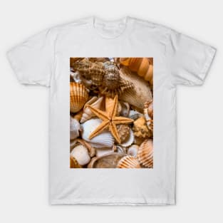 Seashell Starfish Beach Summer Travel T-Shirt